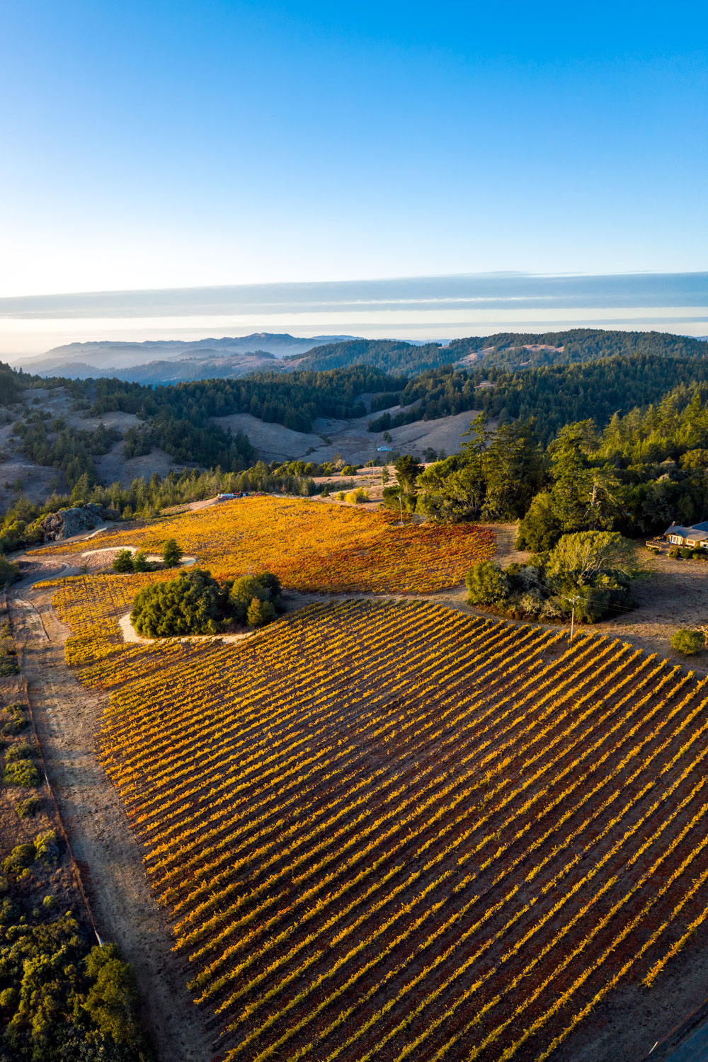 Coastlands Vineyard Cobb Wines
