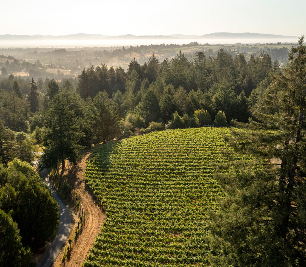 Emmaline Ann Vineyard Cobb Wines