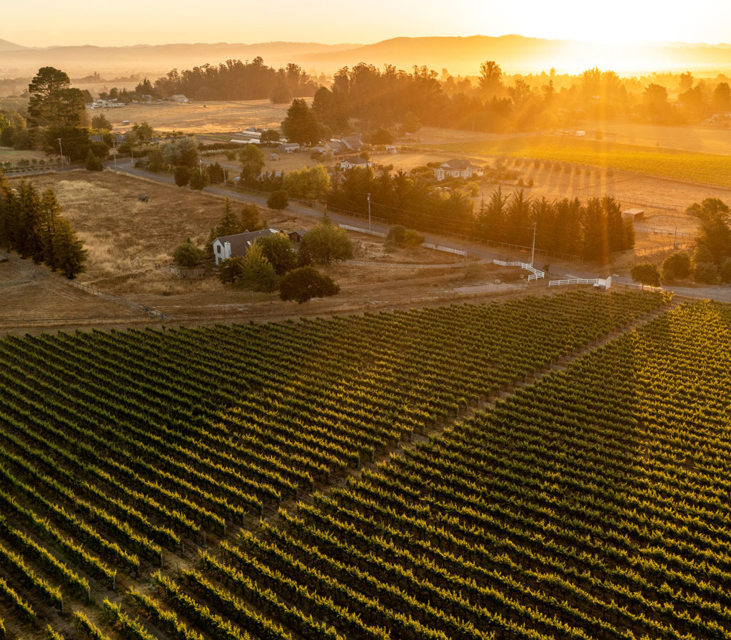 H. Klopp Vineyard Cobb Wines