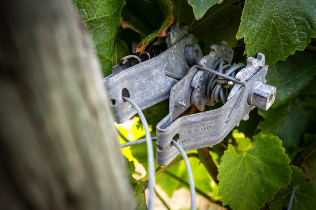 Cobb - Abigails Vineyard - 2023